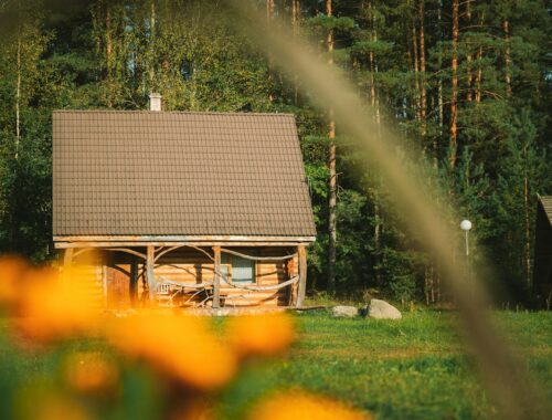 Muggen lugt i huset / sommerhuset